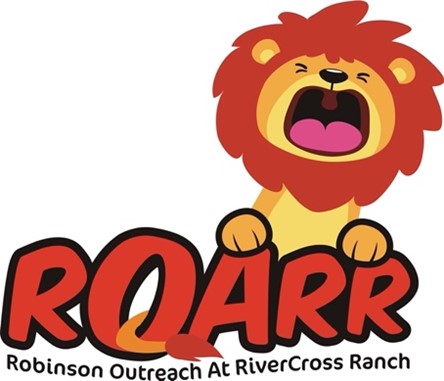 Interim Executive Director, ROARR | AFP Calgary & Area Chapter