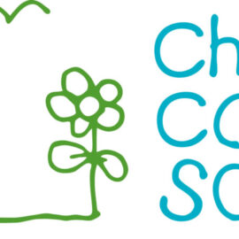 Director of Development – Children’s Cottage Society