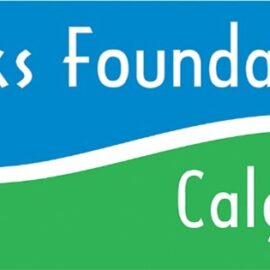 Director of Fund Development and Engagement – Calgary Parks Foundation